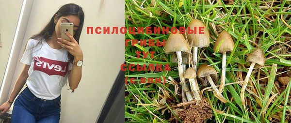 прущий лед Балахна